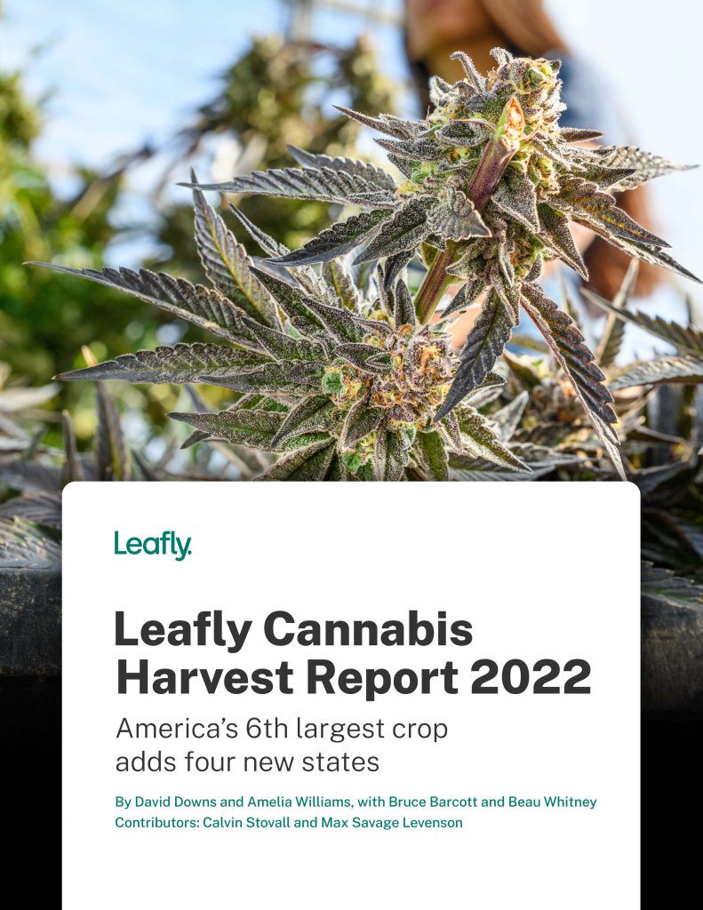 Leafly Cannabis Harvest Report 2022